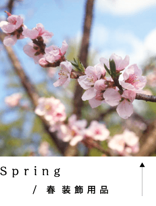 Spring / 春装飾用品