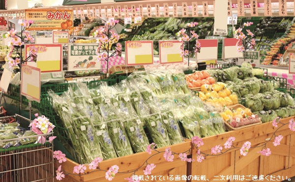 お花見・桜装飾事例