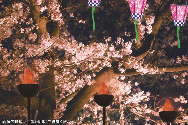 お花見・桜装飾事例